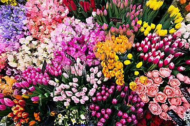 《收获日3》或需全程联网方可进行游戏